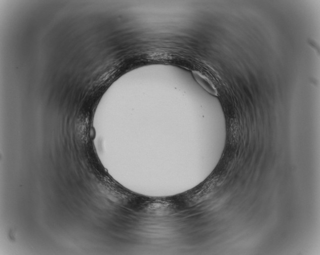 X0000096670364200803041225