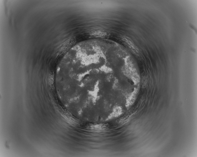X0000096670365200803041225