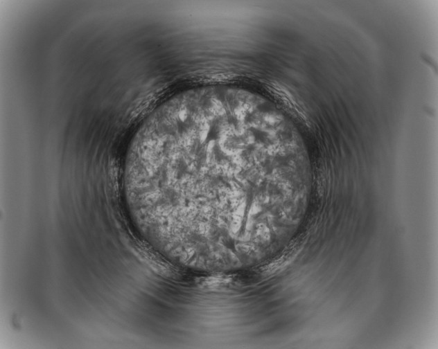 X0000096670366200803041225