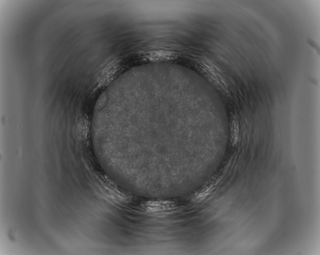 X0000096670367200803041225