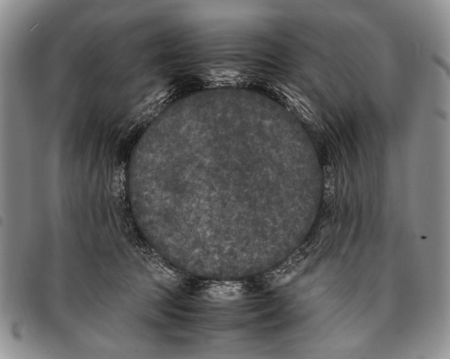 X0000096670369200803041225