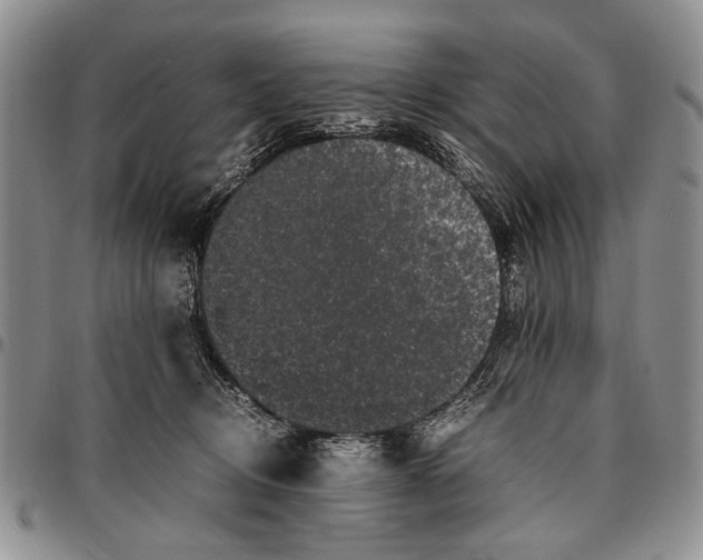 X0000096670370200803041225