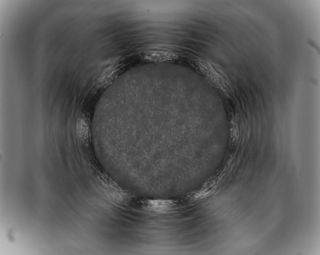 X0000096670371200803041225