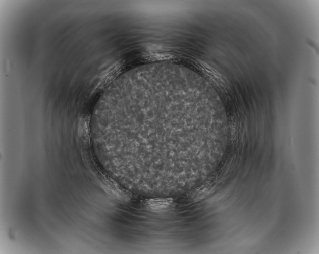 X0000096670373200803041225