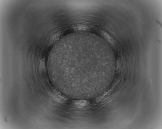X0000096670377200803041225