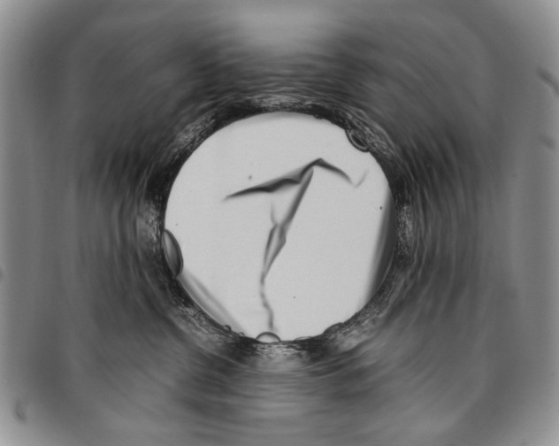 X0000096670380200803041225
