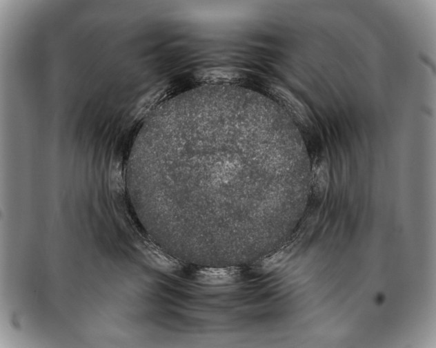 X0000096670381200803041225