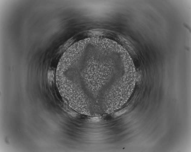 X0000096670382200803041225