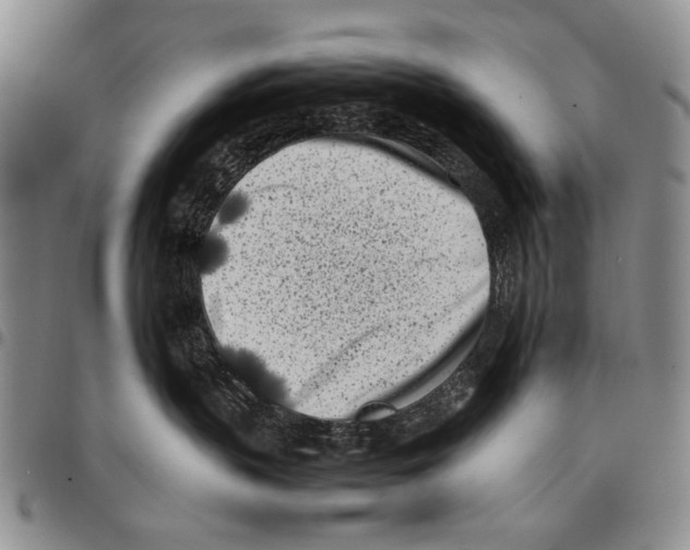 X0000096670383200803041225