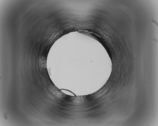 X0000096670384200803041225