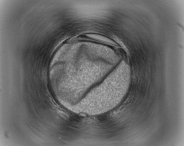 X0000096670386200803041225