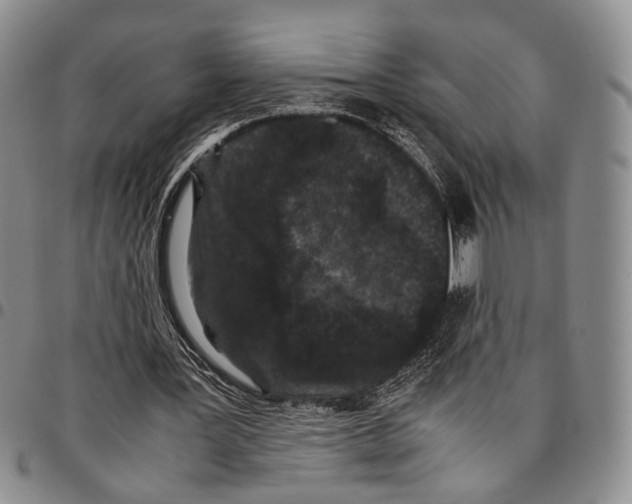 X0000096670387200803041225