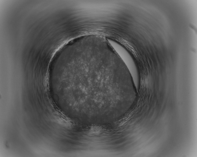 X0000096670388200803041225