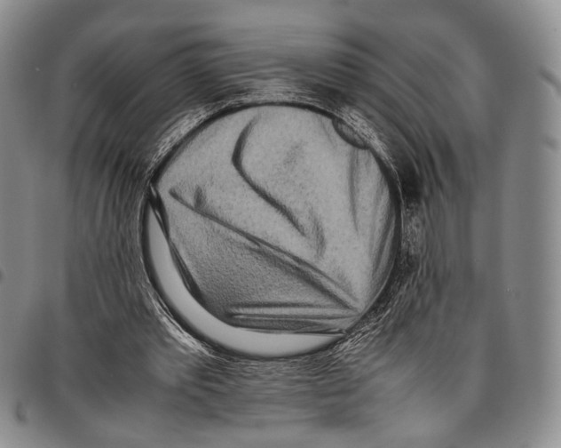 X0000096670389200803041225