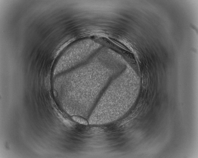 X0000096670390200803041225