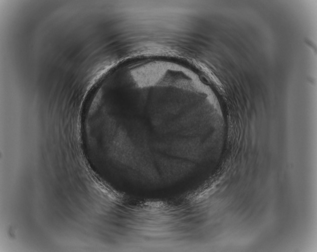 X0000096670391200803041225