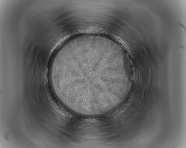 X0000096670392200803041225