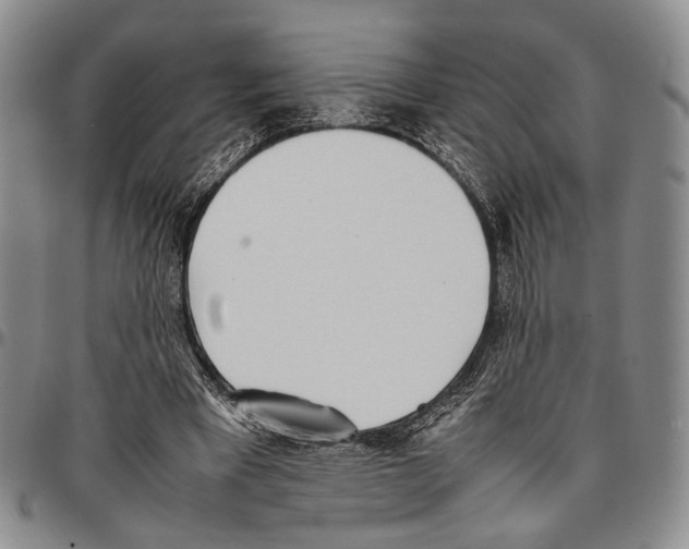 X0000096670393200803041225