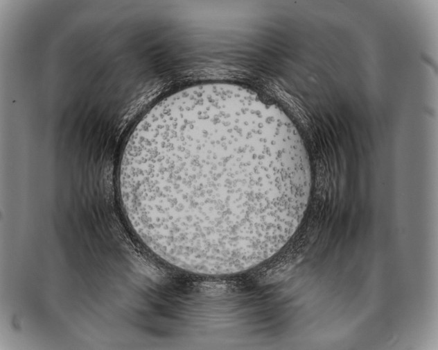X0000096670394200803041225