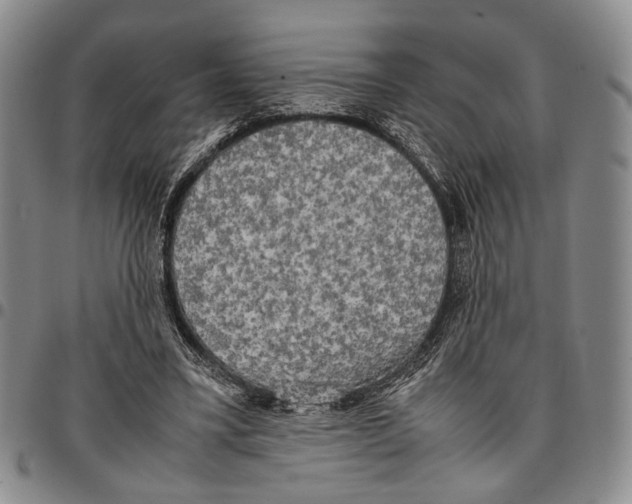 X0000096670395200803041225