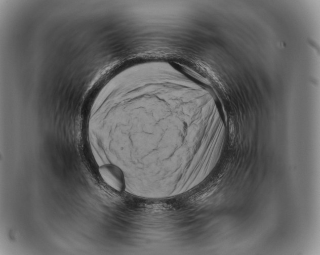 X0000096670396200803041225