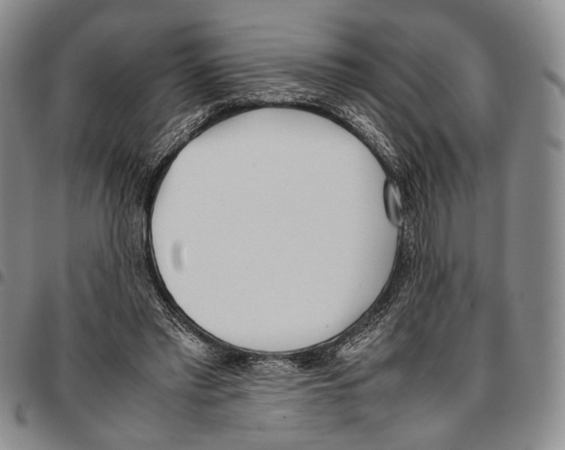 X0000096670397200803041225