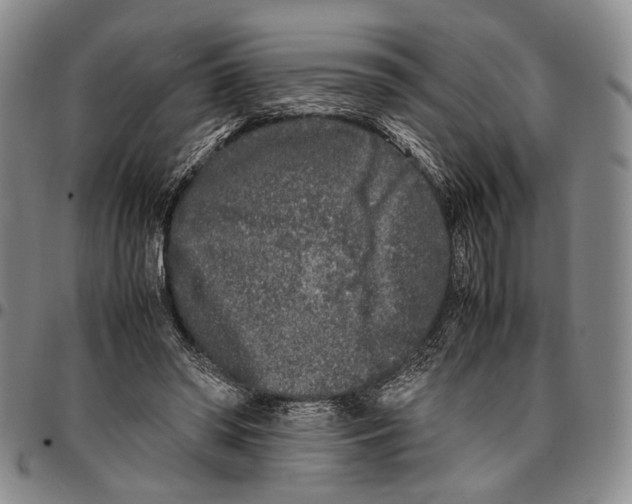 X0000096670398200803041225