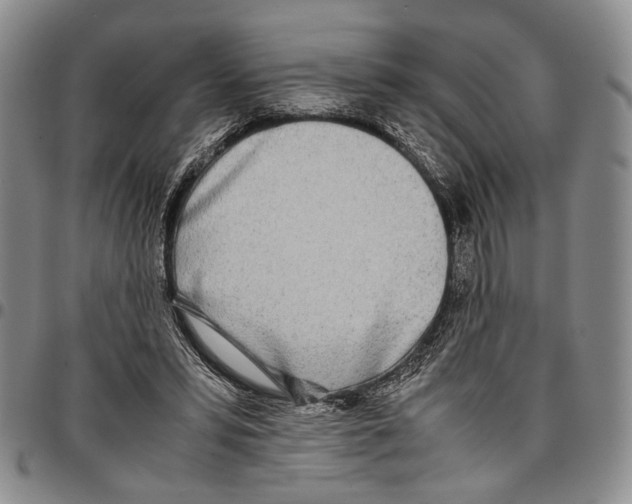 X0000096670399200803041225