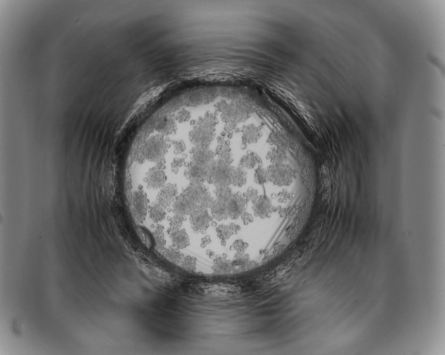 X0000096670400200803041225