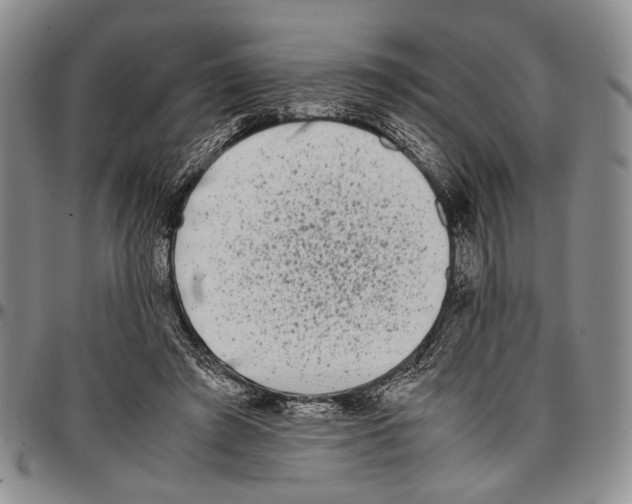 X0000096670401200803041225