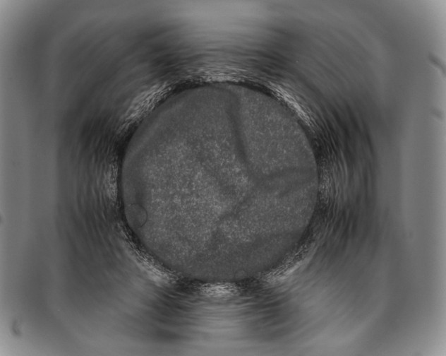 X0000096670402200803041225