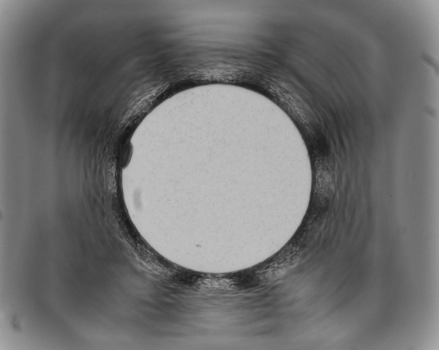 X0000096670403200803041225