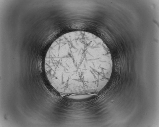 X0000096670404200803041225
