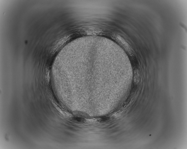 X0000096670405200803041225