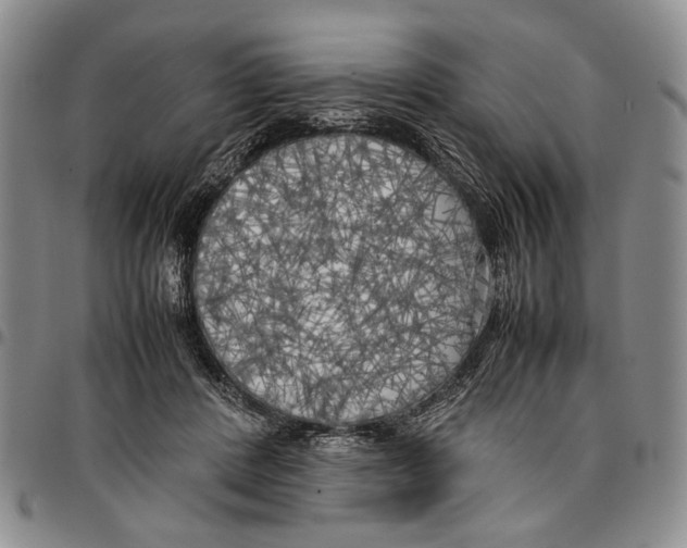 X0000096670408200803041225