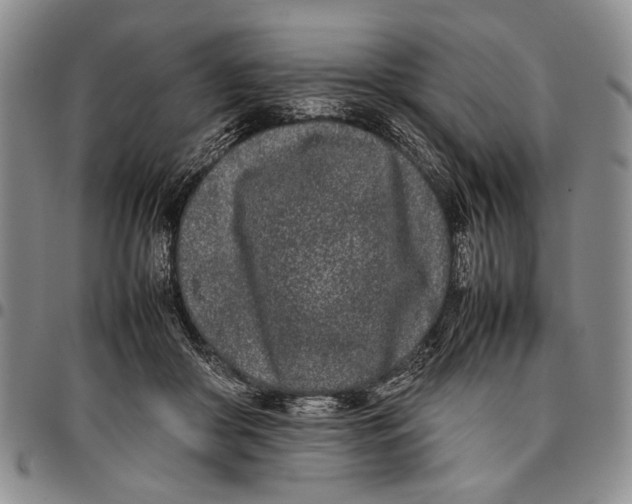 X0000096670410200803041224