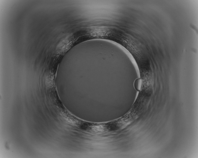 X0000096670411200803041224