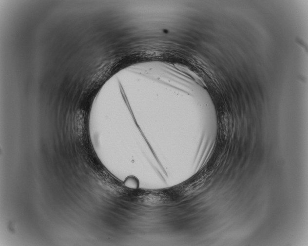 X0000096670412200803041224