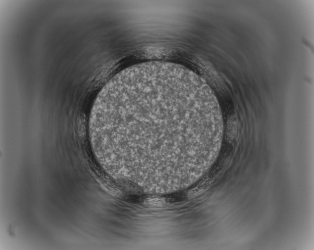 X0000096670413200803041224