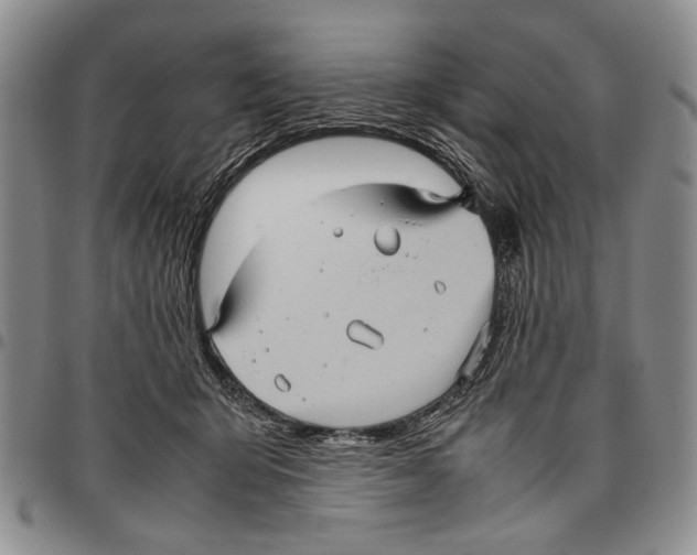 X0000096670415200803041224