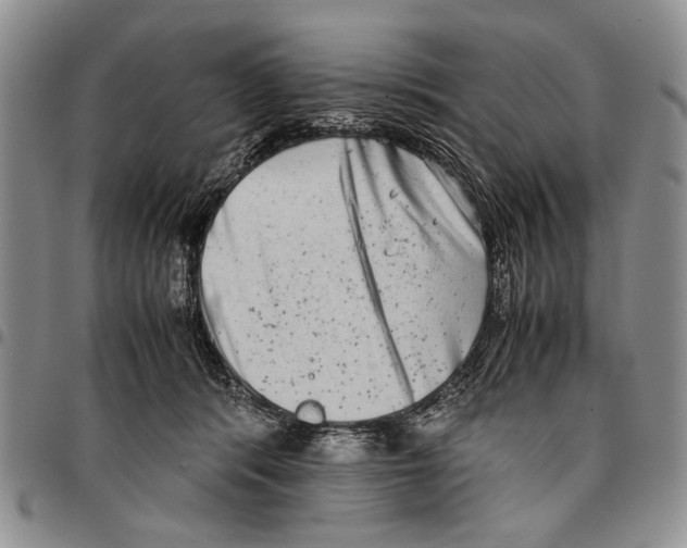 X0000096670416200803041224