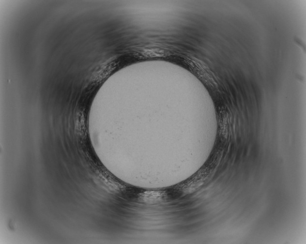 X0000096670418200803041224