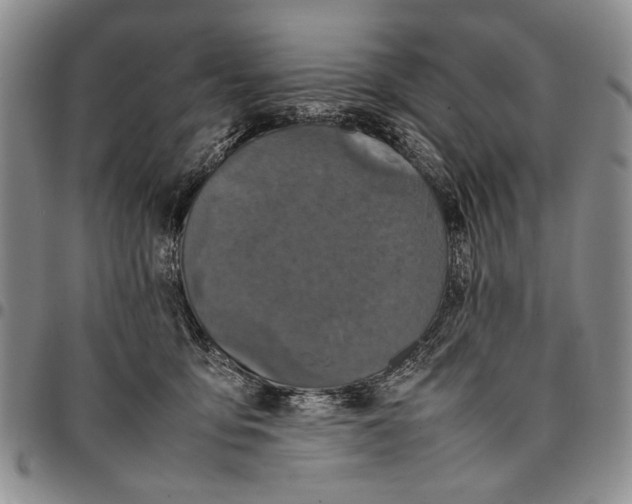 X0000096670419200803041224