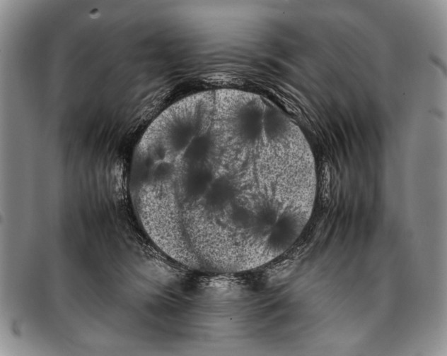 X0000096670420200803041224