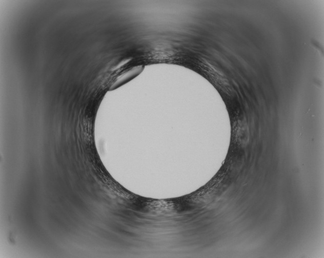 X0000096670421200803041224