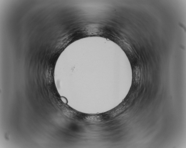 X0000096670422200803041224