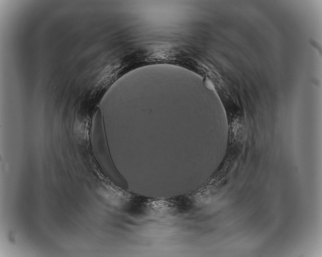 X0000096670423200803041224