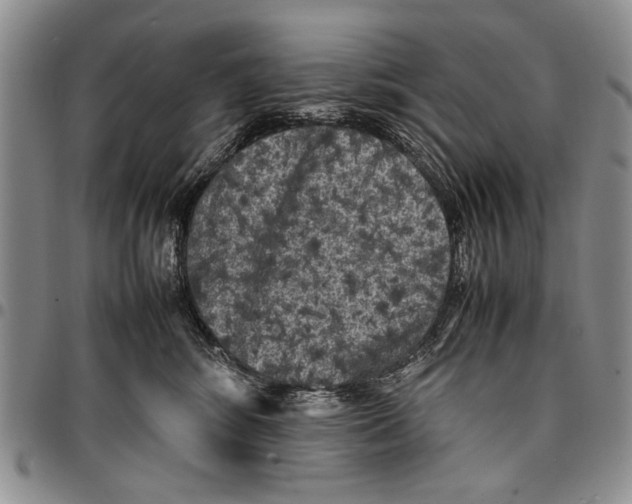 X0000096670424200803041224