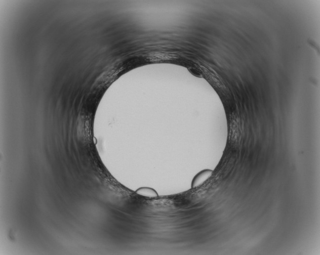 X0000096670426200803041224
