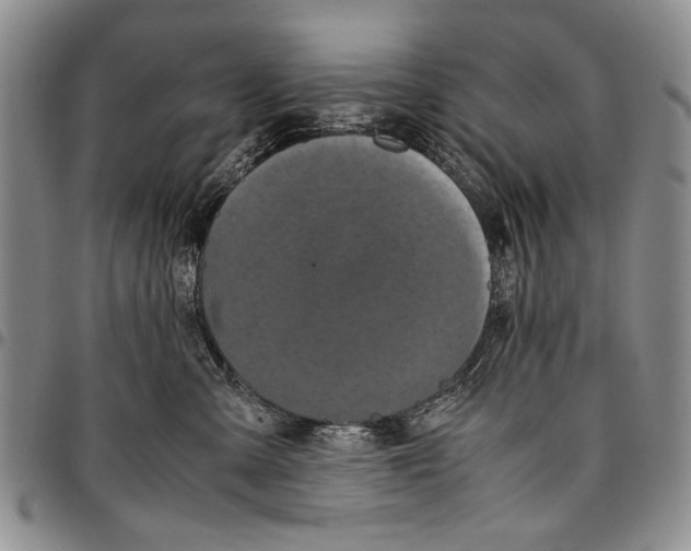X0000096670427200803041224